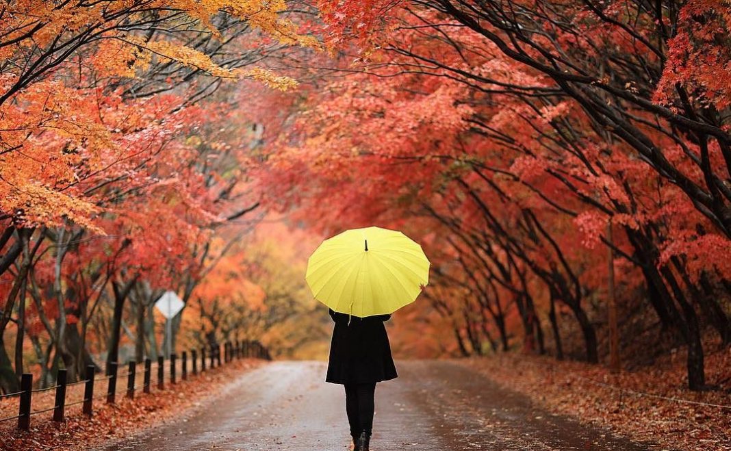 Where to Enjoy an Awesome Autumn in Korea