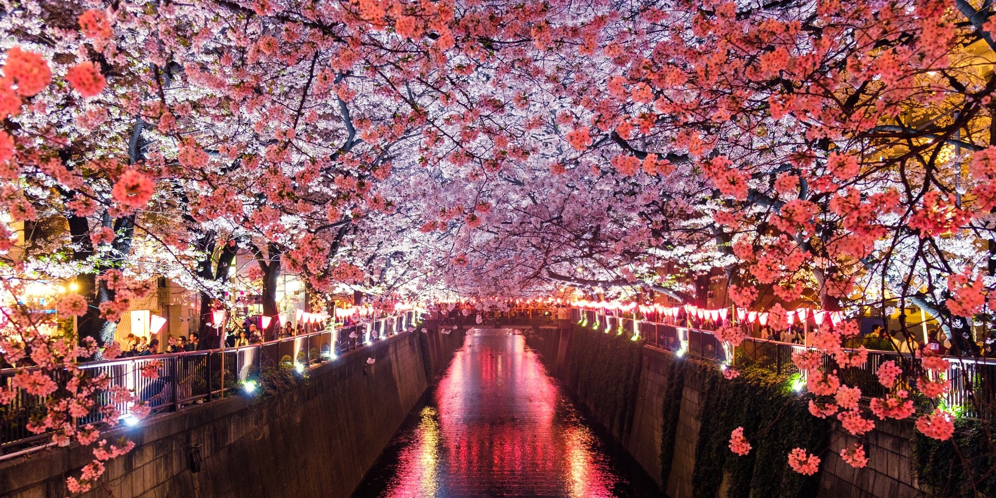 High Locations To View Cherry Blossoms In Tokyo 2023 Travel And 