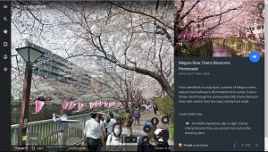 Google Earth Cherry Blossoms Virtual Tour