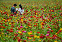 Nagano,,Japan,-august,27,,2019:,Lover,Tourists,In,Flower,Field