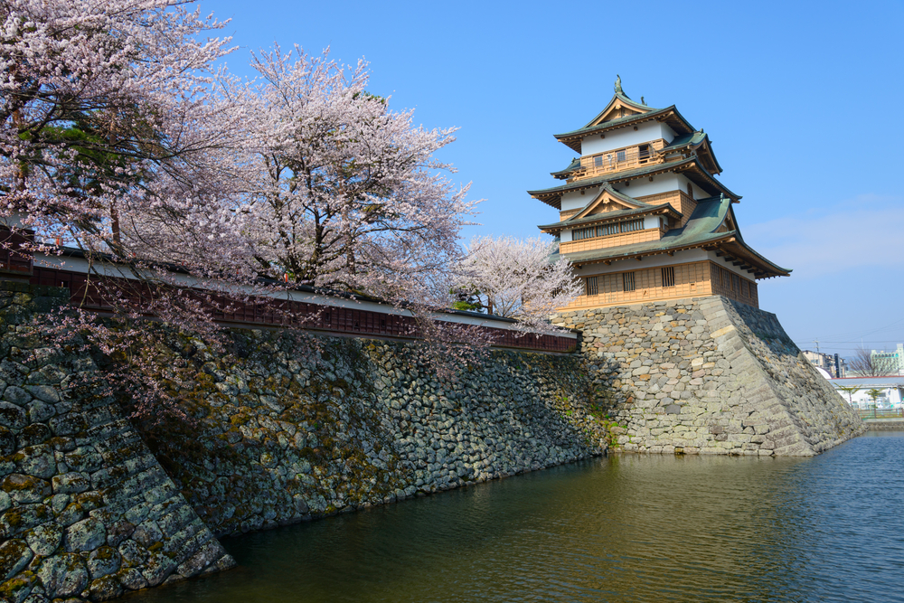 Cherry,Blossoms,At,The,Takashima,Park,And,The,Takashima,Castle