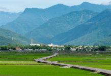 Landscape,View,Of,Beautiful,Rice,Fields,At,Brown,Avenue,,Chishang,