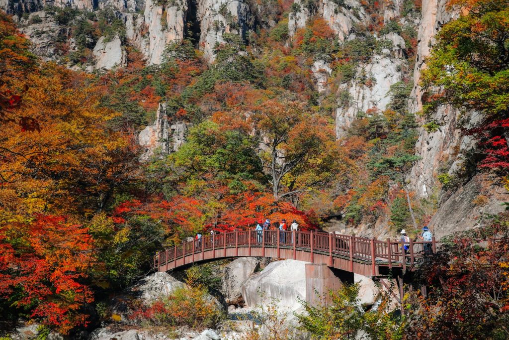 Discover the Breathtaking Autumn Fall Foliage in Korea's National Parks ...