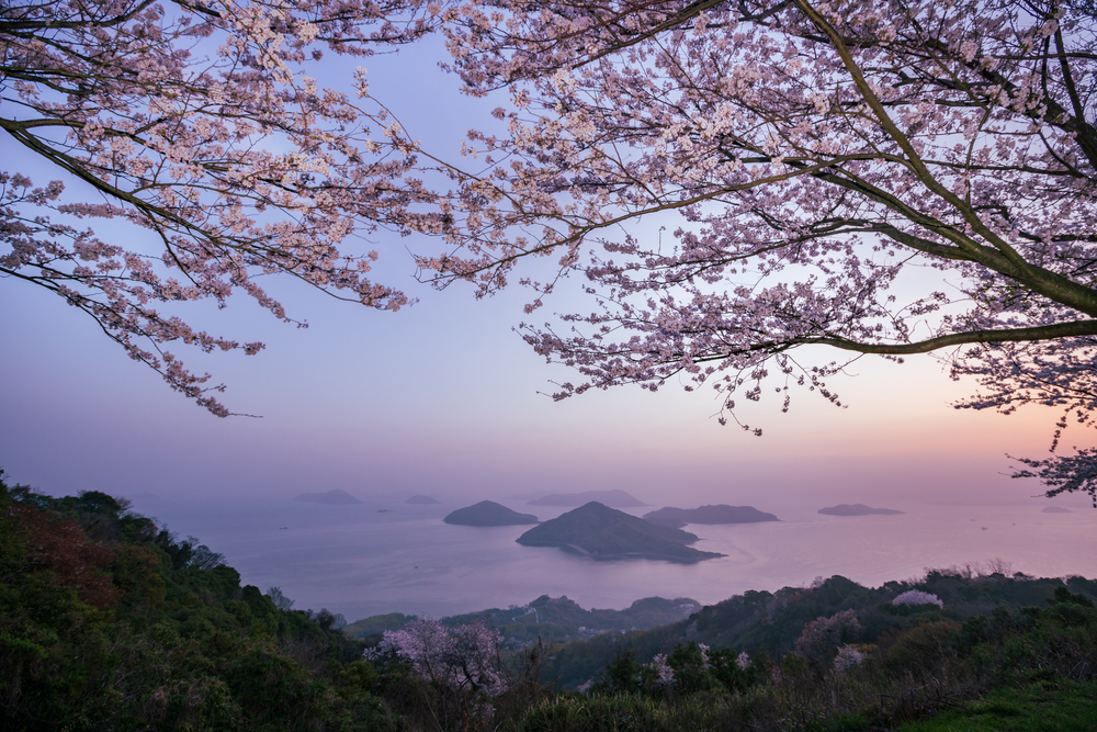 Picture,Of,Mt.shiude,,Famous,For,Its,Beautiful,Cherry,Blossoms,And
