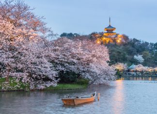 Yokohama,Sankeien,Garden,,,A,Traditional,And,Typical,Japanese-style,Garden