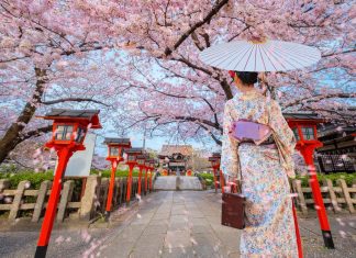 Young Japanese woman in traditional Kimono dress at Rokusonno shrine during full bloom cherry blossom period in Kyoto, Japan