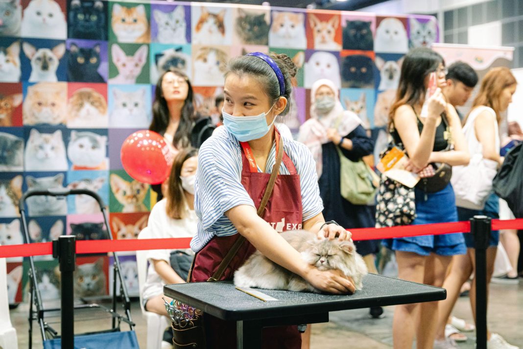 Bring Your Feline Friends To The Asia Cat Expo 2024 On June 29th and 30th