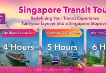 Layover Tours from Changi Airport Singapore