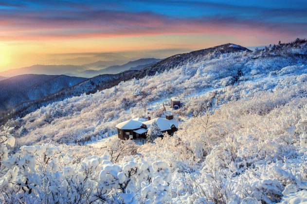 Autumn & Winter Activities in South Korea Under SGD 100 | Family ...