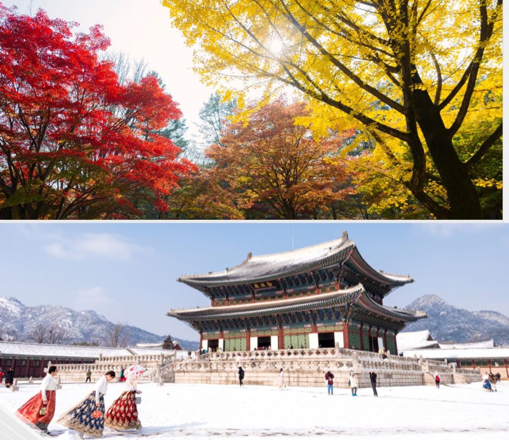Autumn & Winter Activities in South Korea Under SGD 100 | Family ...