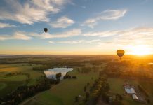 Hot,Air,Balloons,In,Pokolbin,Wine,Region,Near,Hunter,Vally