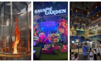 The Ultimate Day Out in the West: 7 Reasons to Visit Science Centre Singapore