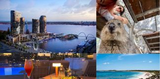 Perth’s Waterfront Gem: A Stay at The Ritz-Carlton and a Day Trip to Rottnest Island