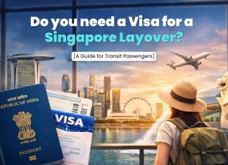 Singapore Layover Guide for transit passengers